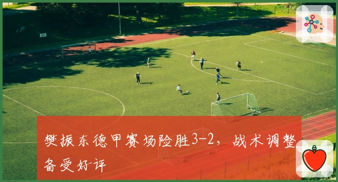 樊振东德甲赛场险胜3-2，战术调整备受好评